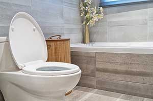 Toilet Drain Cleaning by All County Plumbing LLC serving Vancouver WA